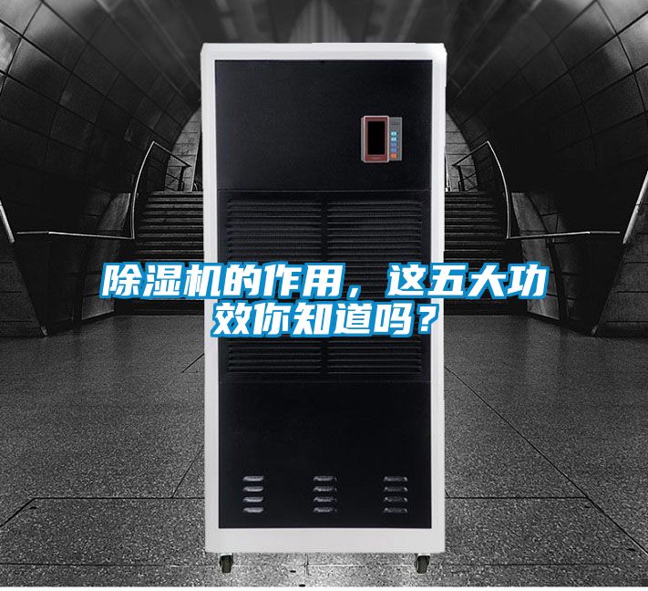 除濕機的作用，這五大功效你知道嗎？