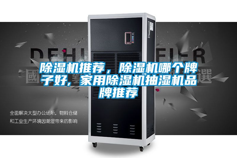 除濕機(jī)推薦，除濕機(jī)哪個牌子好, 家用除濕機(jī)抽濕機(jī)品牌推薦