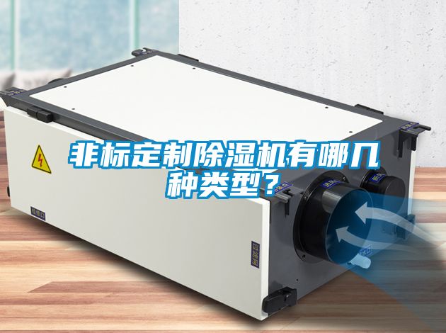 非標定制除濕機有哪幾種類型？