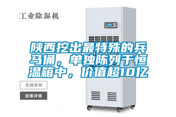 陜西挖出最特殊的兵馬俑，單獨陳列于恒溫箱中，價值超10億