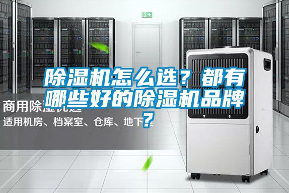 除濕機怎么選？都有哪些好的除濕機品牌？