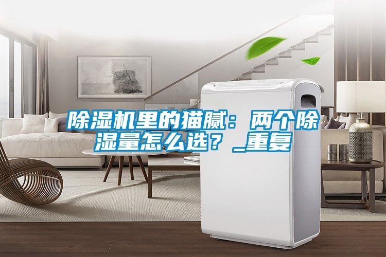 除濕機(jī)里的貓膩：兩個(gè)除濕量怎么選？_重復(fù)
