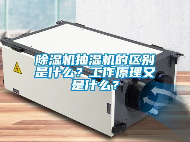 除濕機(jī)抽濕機(jī)的區(qū)別是什么？工作原理又是什么？