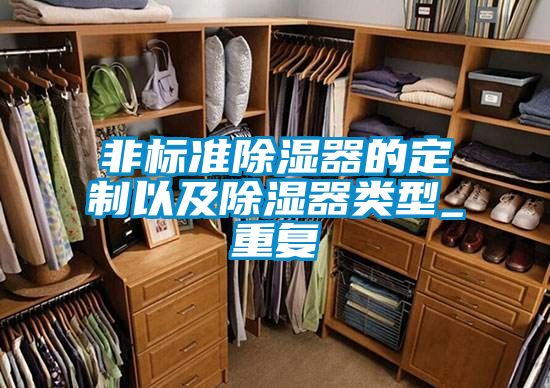 非標準除濕器的定制以及除濕器類型_重復(fù)