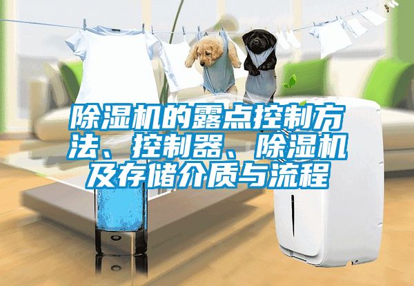 除濕機(jī)的露點(diǎn)控制方法、控制器、除濕機(jī)及存儲(chǔ)介質(zhì)與流程