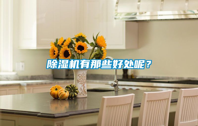 除濕機(jī)有那些好處呢？
