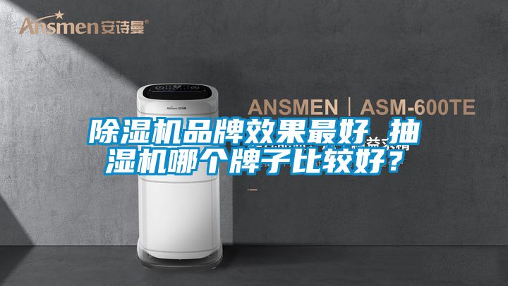 除濕機品牌效果最好 抽濕機哪個牌子比較好？