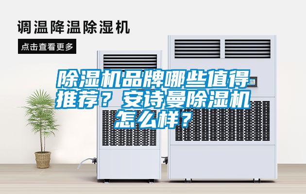 除濕機(jī)品牌哪些值得推薦？安詩曼除濕機(jī)怎么樣？