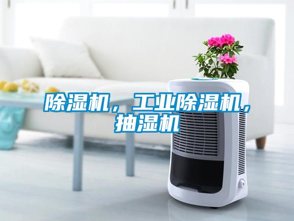 除濕機，工業(yè)除濕機，抽濕機