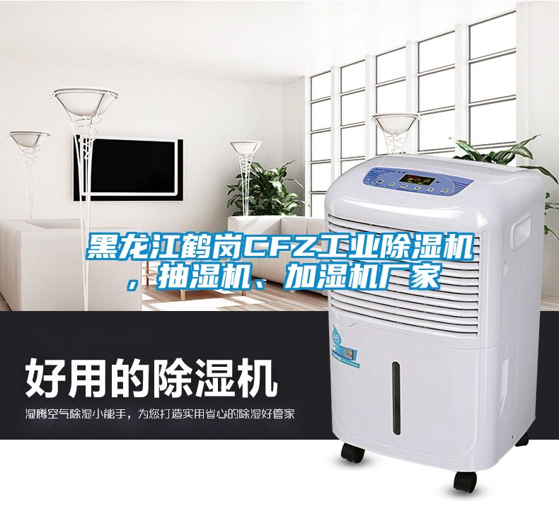 黑龍江鶴崗CFZ工業(yè)除濕機(jī)，抽濕機(jī)、加濕機(jī)廠家