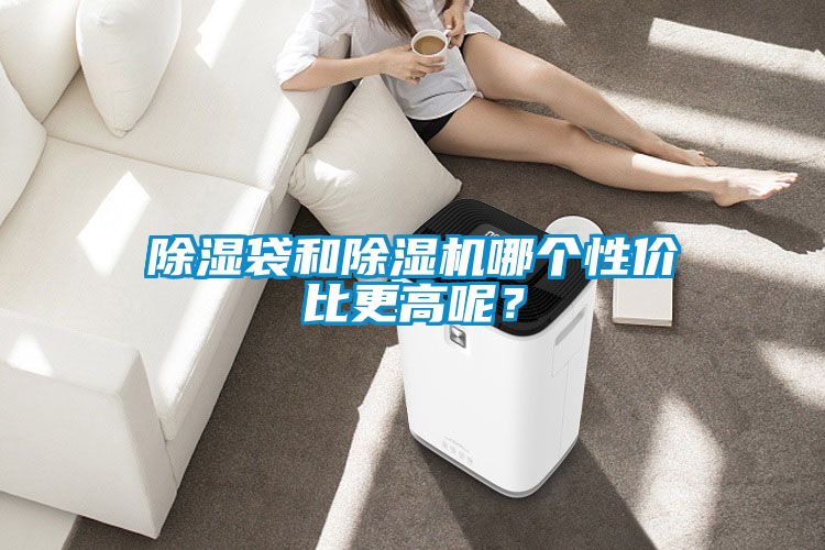 除濕袋和除濕機(jī)哪個性價比更高呢？