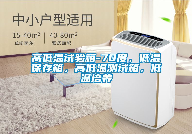 高低溫試驗(yàn)箱-70度，低溫保存箱，高低溫測(cè)試箱，低溫培養(yǎng)