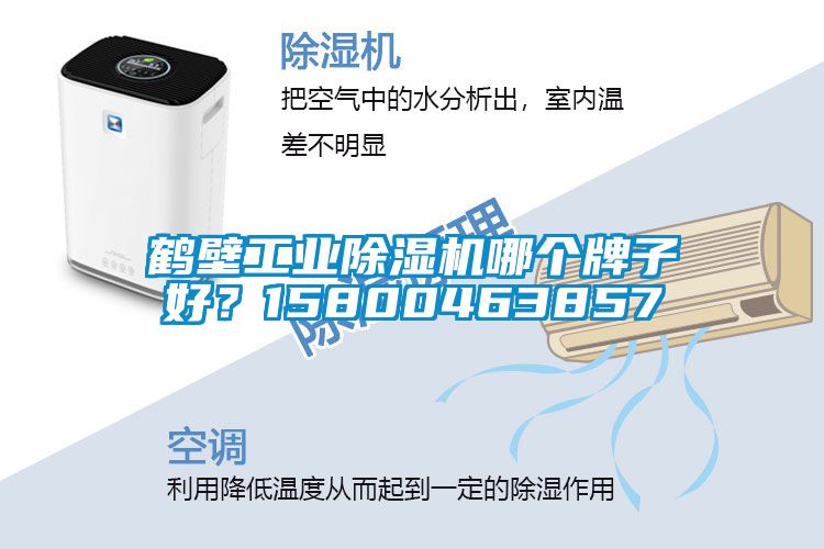 鶴壁工業(yè)除濕機(jī)哪個(gè)牌子好？15800463857
