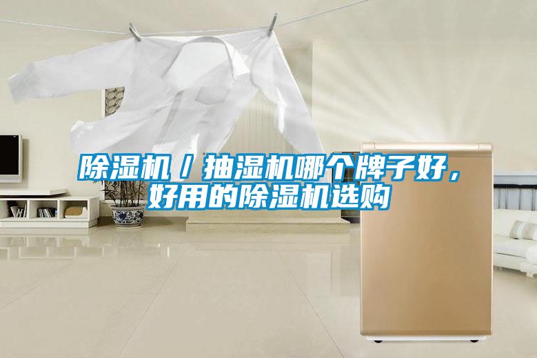 除濕機／抽濕機哪個牌子好，好用的除濕機選購