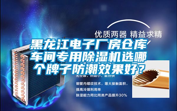 黑龍江電子廠房倉庫車間專用除濕機(jī)選哪個(gè)牌子防潮效果好？