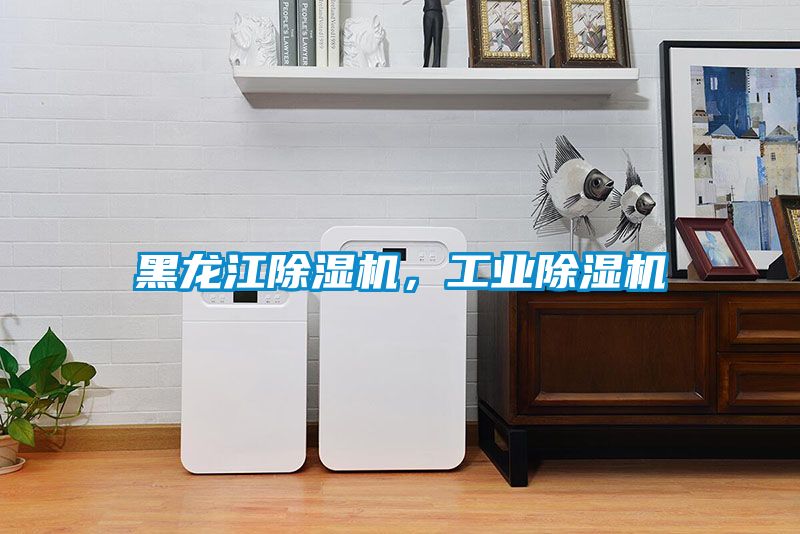 黑龍江除濕機，工業(yè)除濕機