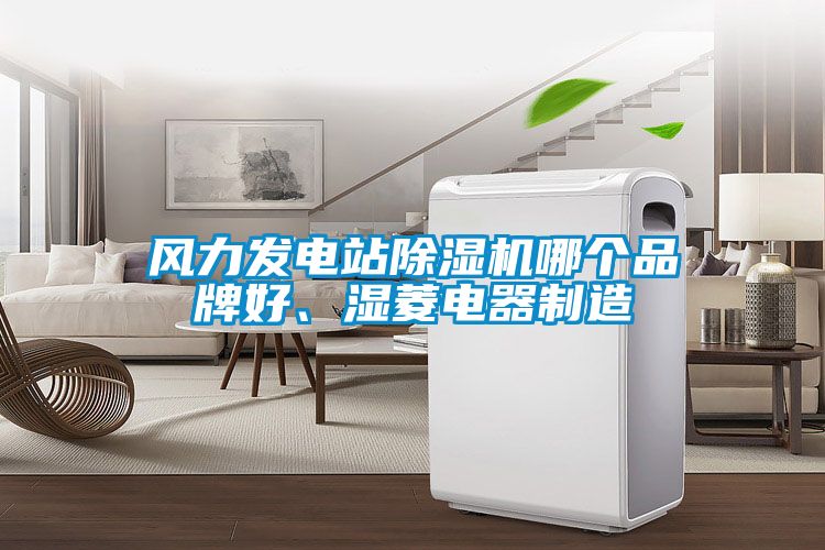 風(fēng)力發(fā)電站除濕機(jī)哪個(gè)品牌好、濕菱電器制造