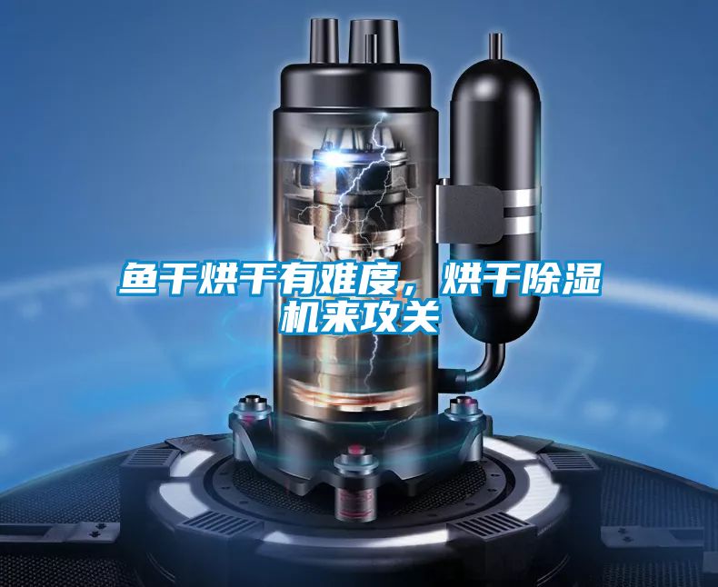 魚干烘干有難度，烘干除濕機來攻關(guān)