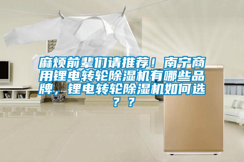 麻煩前輩們請(qǐng)推薦！南寧商用鋰電轉(zhuǎn)輪除濕機(jī)有哪些品牌，鋰電轉(zhuǎn)輪除濕機(jī)如何選？？