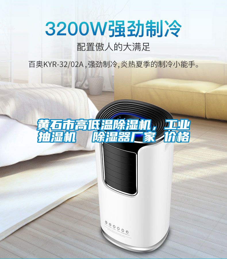 黃石市高低溫除濕機(jī)，工業(yè)抽濕機(jī)  除濕器廠家 價(jià)格