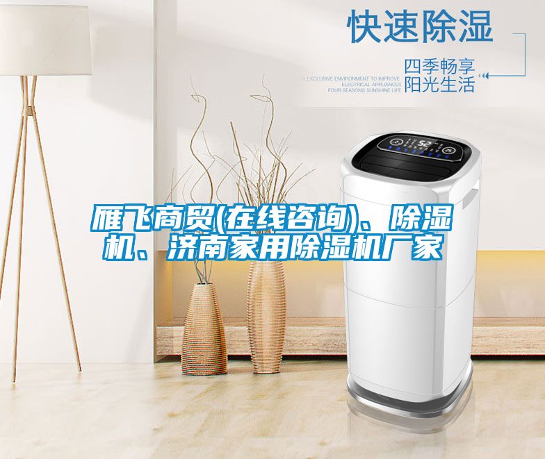 雁飛商貿(mào)(在線咨詢)、除濕機(jī)、濟(jì)南家用除濕機(jī)廠家