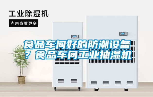 食品車間好的防潮設(shè)備？食品車間工業(yè)抽濕機(jī)