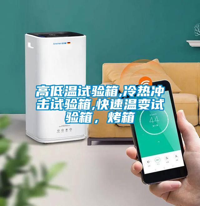 高低溫試驗(yàn)箱,冷熱沖擊試驗(yàn)箱,快速溫變?cè)囼?yàn)箱，烤箱