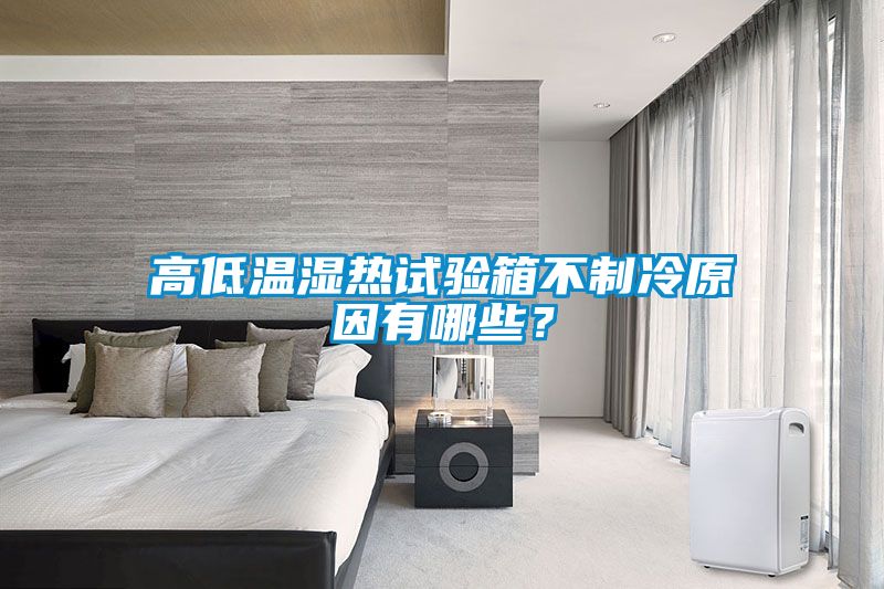 高低溫濕熱試驗箱不制冷原因有哪些？
