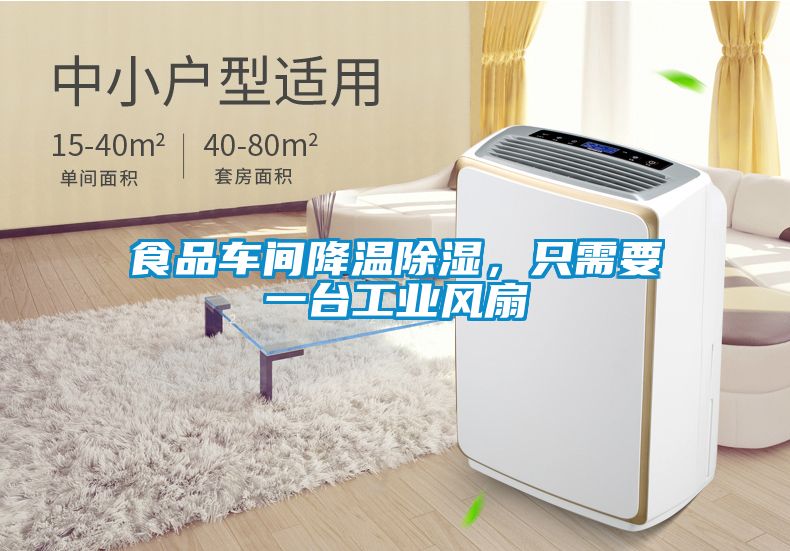 食品車間降溫除濕，只需要一臺工業(yè)風(fēng)扇