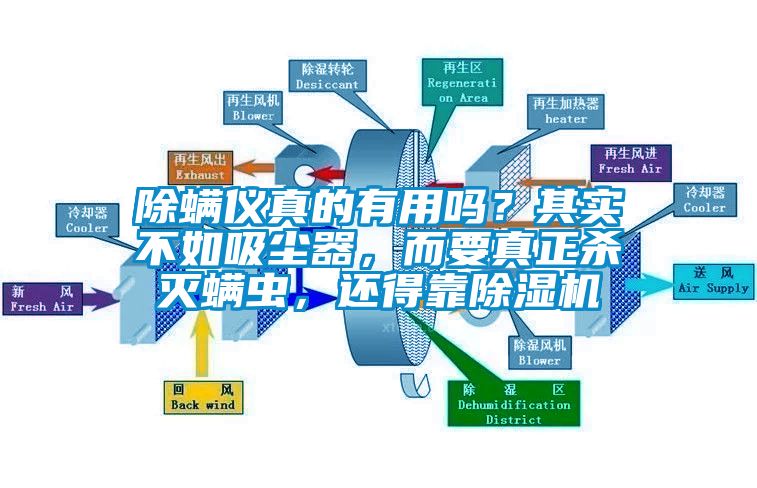 除螨儀真的有用嗎？其實(shí)不如吸塵器，而要真正殺滅螨蟲，還得靠除濕機(jī)