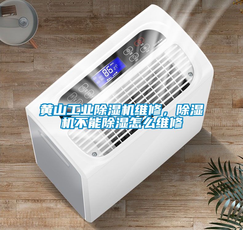 黃山工業(yè)除濕機(jī)維修，除濕機(jī)不能除濕怎么維修