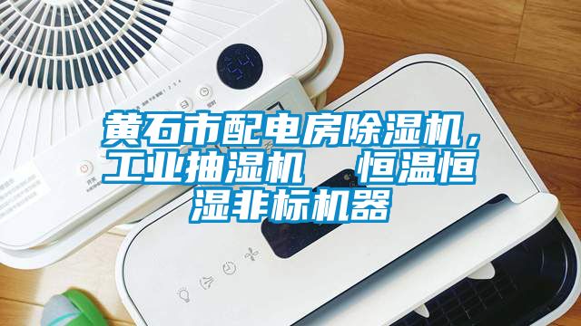 黃石市配電房除濕機，工業(yè)抽濕機  恒溫恒濕非標機器
